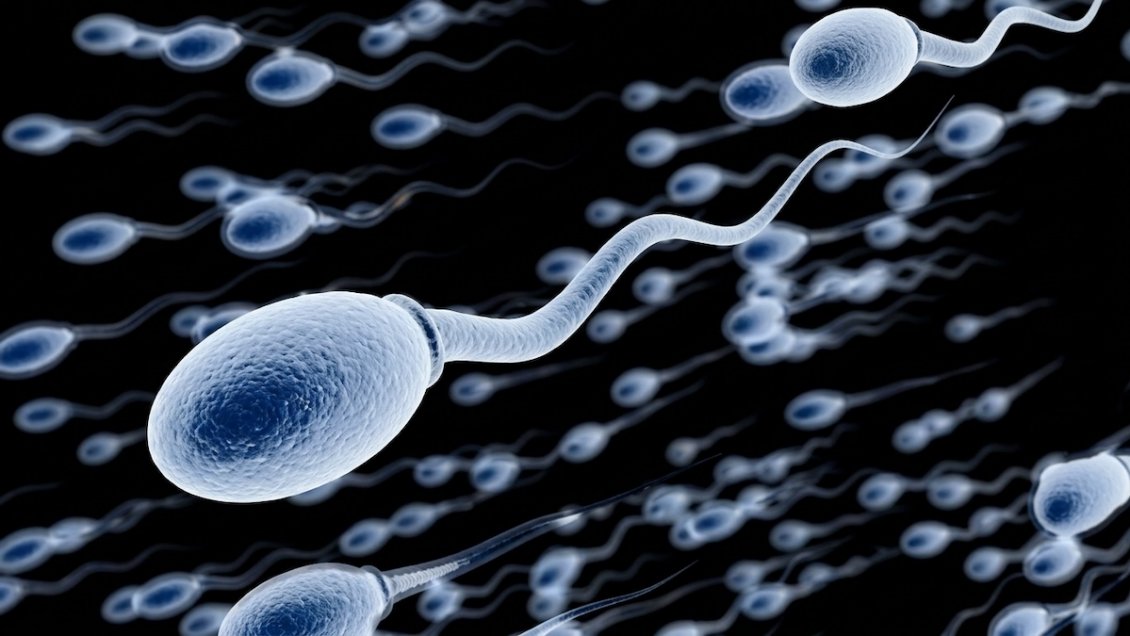 Megadonante de esperma asegura ser padre de 200 hijos en cuatro países