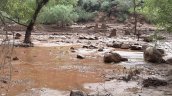 Al menos 15 desaparecidos y 62 evacuados en el Gran Cañón por fuertes inundaciones repentinas