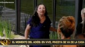 Pincoya fue eliminada de 