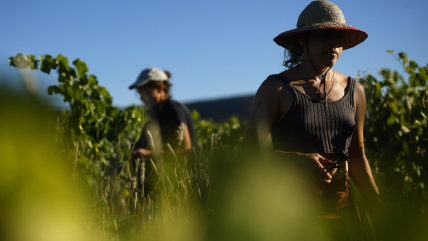   Ola de calor en Francia: Termómetro supera los 40 grados y marca récords históricos en septiembre 