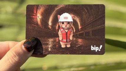   ¿Cuánto durarán? Salió a la venta la nueva edición de la 