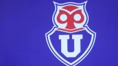 Liquidador de Sartor convocó a exalumnos de la U. de Chile a participar en compra de Azul Azul