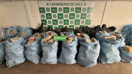   Incautan en Calama 660 kilos de marihuana que iban a venderse en Fiestas Patrias 