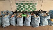 Incautan en Calama 660 kilos de marihuana que iban a venderse en Fiestas Patrias