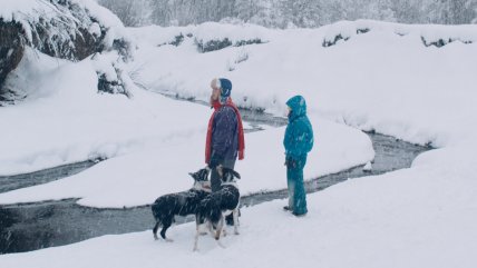   De Larraín a Martelli: Chile llega al Festival de San Sebastián con ocho producciones 