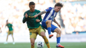 Betis de Pellegrini vio frenada su racha triunfal tras igualar ante Deportivo La Coruña