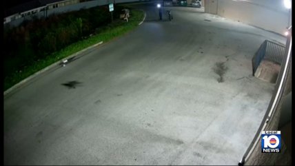   Policía busca a 