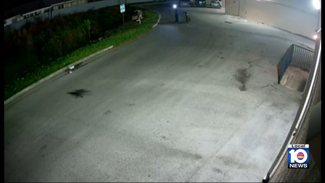Policía busca a 