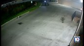 Policía busca a 