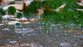 Temporal en el Biobío: Alerta por lluvias de más de 100 mm y ráfagas de viento