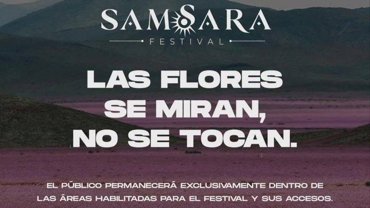 Imagen foto_00000002