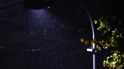  Los Ríos: Intensas lluvias dejan 161 viviendas afectadas y familias aisladas  