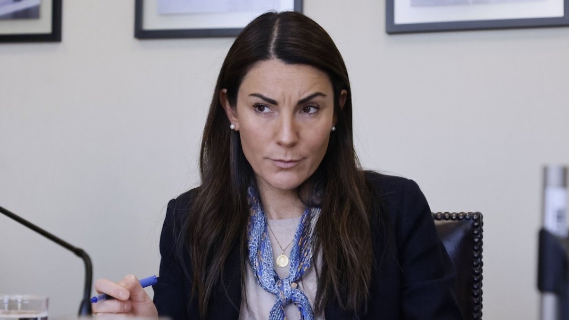 Eventual recorte a la gratuidad agita aguas en educación con miras al Presupuesto