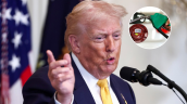 Trump descartó prohibir las exportaciones de diésel desde Estados Unidos