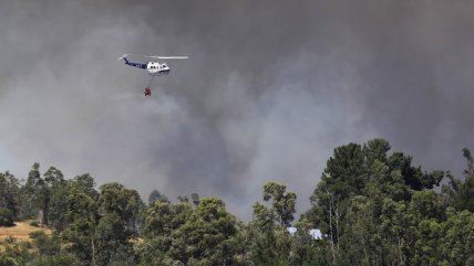   Incendios forestales cubren de humo la principal ciudad de la Amazonía brasileña 
