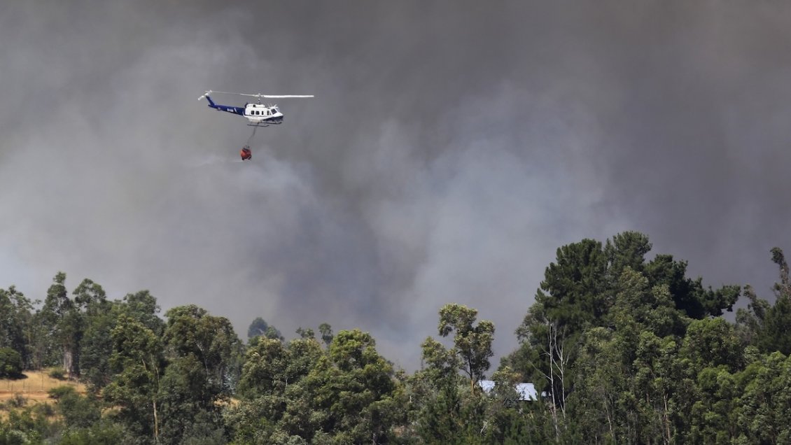 Incendios forestales cubren de humo la principal ciudad de la Amazonía brasileña
