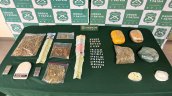 Cuatro detenidos tras allanamientos por microtráfico de drogas en Renca