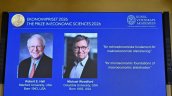 Nobel de Economía a Hall y Woodford por fundamentos micro de estabilización macroeconómica