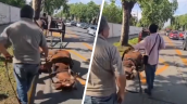 Maltrato animal: Detuvieron a dos sujetos por golpear brutalmente a un caballo