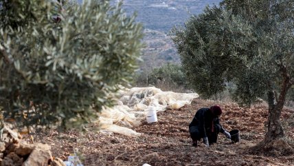 Iglesias cristianas de Jerusalén condenaron ataque de colonos israelíes en Cisjordania