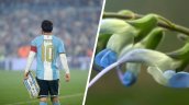 Científicos peruanos bautizaron en honor a Messi una nueva especie de planta en Los Andes