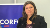 Fiscalía de Tarapacá abrió investigación contra seremi tras presunto uso indebido de licencias